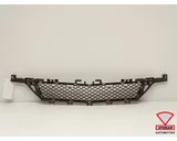 Koop Bumper rooster bij Otosan Automotive B.V.