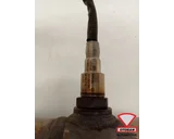 Koop Katalysator bij Otosan Automotive B.V.