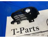 Koop Afdekplaat mistlamp bij T-Parts