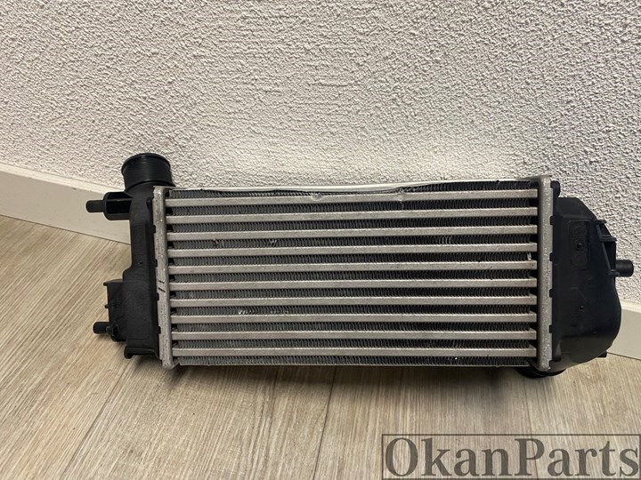 Ford Fiesta Ford Puma intercooler origineel L1BG-6D624-AB image 1