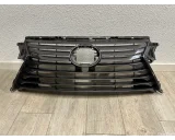 Koop Grille bij OkanParts