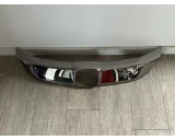 Koop Grille bij OkanParts