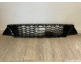 Koop Bumper rooster bij OkanParts