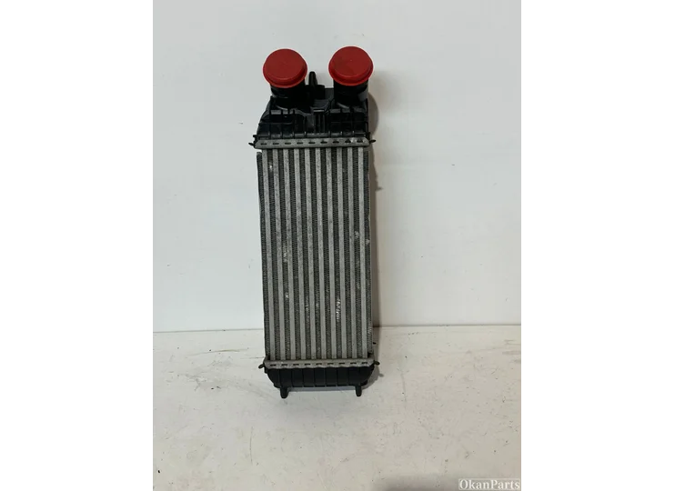 Koop Intercooler bij OkanParts
