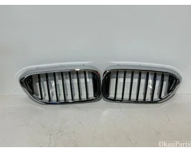 BMW 5-serie G30 G31 Grille Nieren Origineel image 1