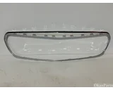 Koop Grille bij OkanParts