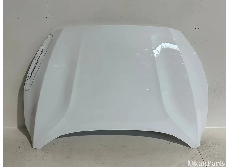 Koop Motorkap bij OkanParts