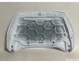 Koop Motorkap bij OkanParts