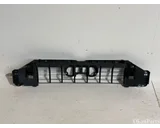 Koop Grille bij OkanParts
