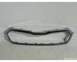 Koop Grille bij OkanParts