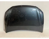 Koop Motorkap bij OkanParts