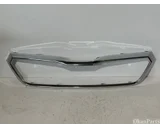 Koop Grille bij OkanParts