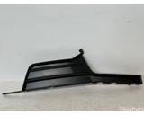 Koop Afdekplaat mistlamp bij OkanParts
