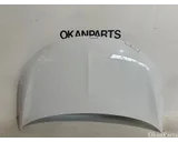 Koop Motorkap bij OkanParts
