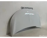 Koop Motorkap bij OkanParts