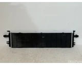 Koop Radiateur bij OkanParts
