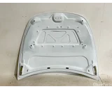 Koop Motorkap bij OkanParts