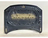 Koop Motorkap bij OkanParts