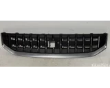 Koop Grille bij OkanParts