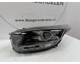 Koop Rooster | Koplamp | Enkel bij De Jager Auto-Onderdelen