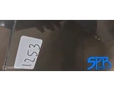 Koop Achterbumper bij SPR Parts