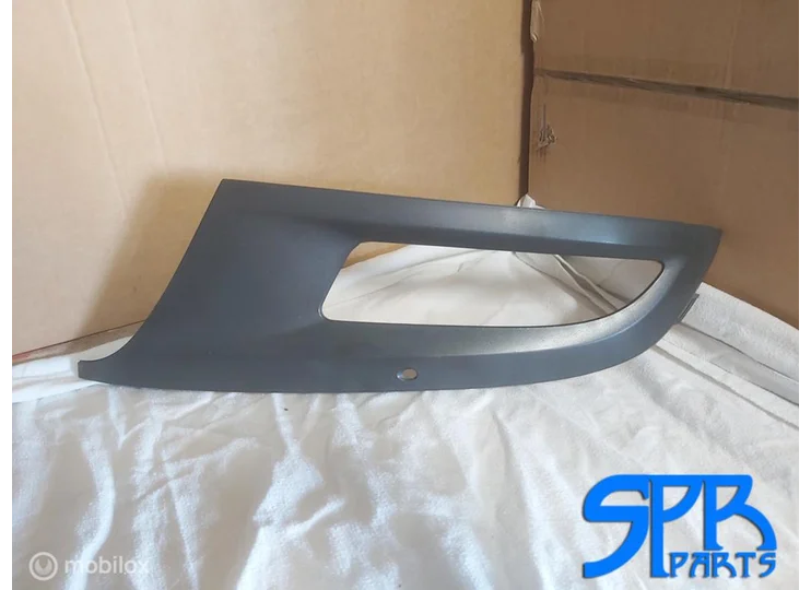 Koop Afdekplaat mistlamp bij SPR Parts