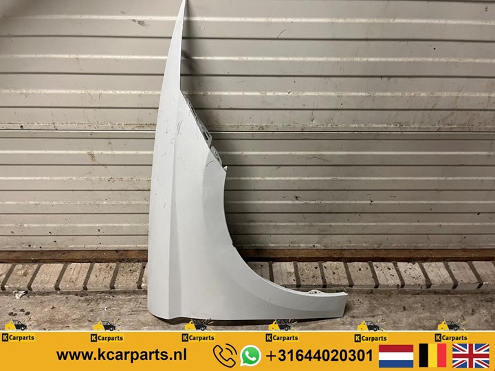 Zijscherm Seat Ibiza 6F 2017+ Zijscherm Spatbord Rechts Voor image 1