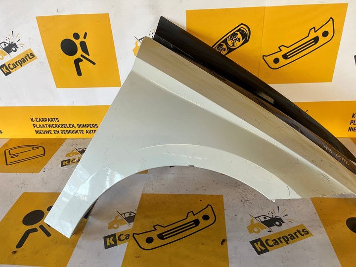 Koop Zijpaneel | Zijscherm | Achterscherm bij KCarparts
