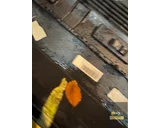 Koop Achterbumper bij KCarparts