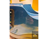 Koop Achterbumper bij KCarparts