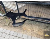 Koop Voorbumper bij KCarparts