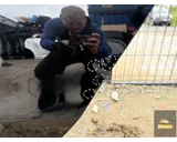Koop Portier | Deur | Enkel bij KCarparts