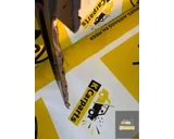 Koop Achterbumper bij KCarparts