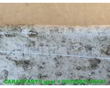Koop Draagarm bij Caratparts