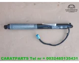 Koop Gasveer | Gasdemper | Achterklep | Enkel bij Caratparts