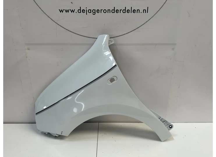 Koop Zijpaneel | Zijscherm | Voorscherm bij Jager Auto-Onderdelen