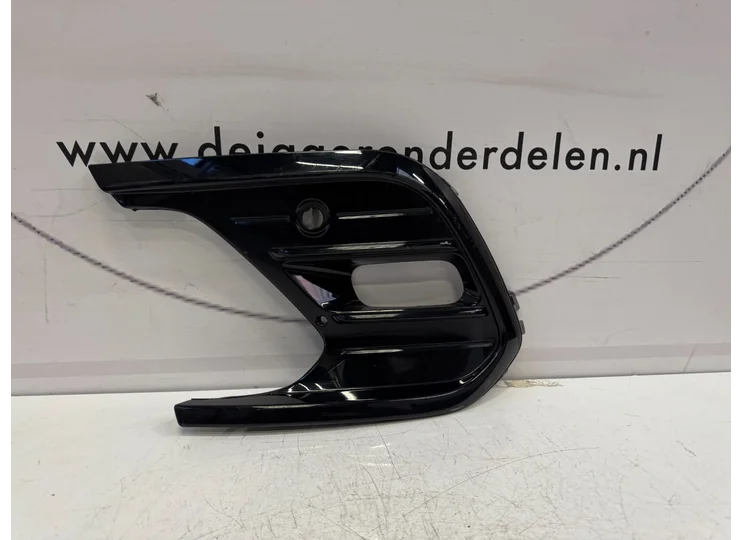 Koop Bumper rooster bij Jager Auto-Onderdelen