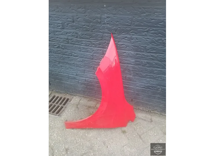 Koop Zijpaneel | Zijscherm | Voorscherm bij Excellence Automotive