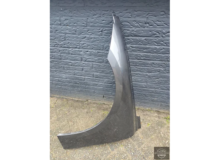 Koop Zijpaneel | Zijscherm | Voorscherm bij Excellence Automotive