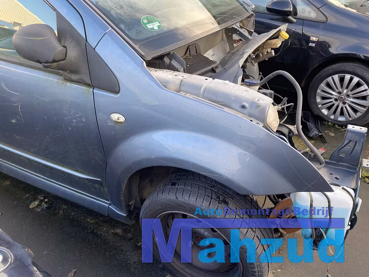 CITROEN C2 JM Grijs EZWC rechts voor scherm zijscherm 2003-2012 image 1