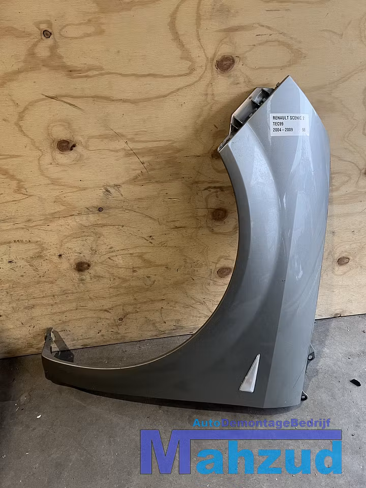 RENAULT SCENIC 2 TEC66 GRIJS links voorscherm scherm 2004-2009 image 1
