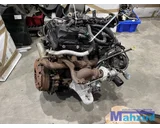 Koop Motorblok | Kaal bij Autodemontagebedrijf Mahzud