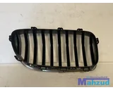 Koop Grille bij Autodemontagebedrijf Mahzud