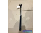 Koop Gasveer | Gasdemper | Achterklep | Links en Rechts bij Autodemontagebedrijf Mahzud