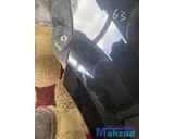 Koop Zijpaneel | Zijscherm | Achterscherm bij Autodemontagebedrijf Mahzud