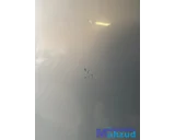 Koop Motorkap bij Autodemontagebedrijf Mahzud