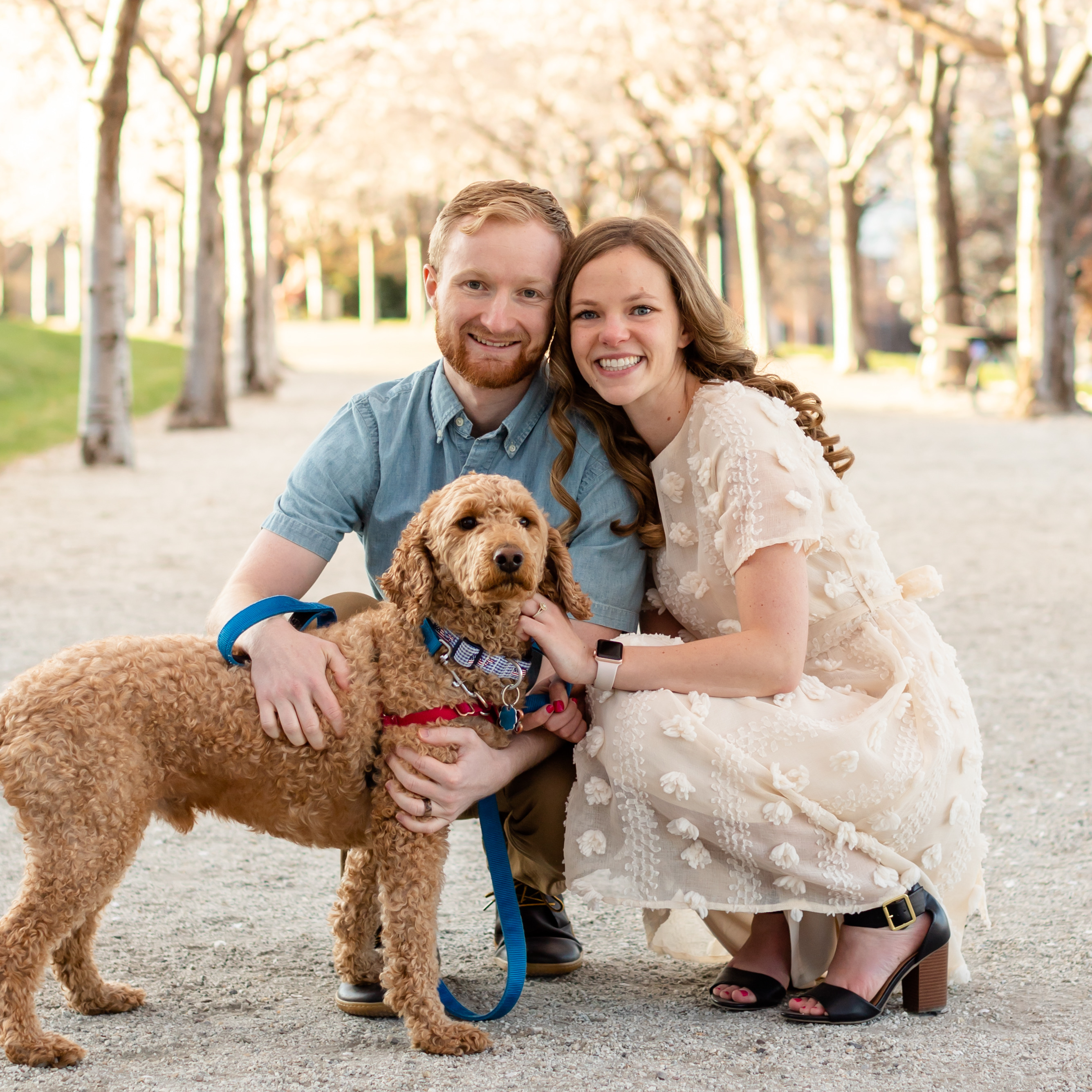 This is our dog Scout. We love him and can't wait to give him a friend!