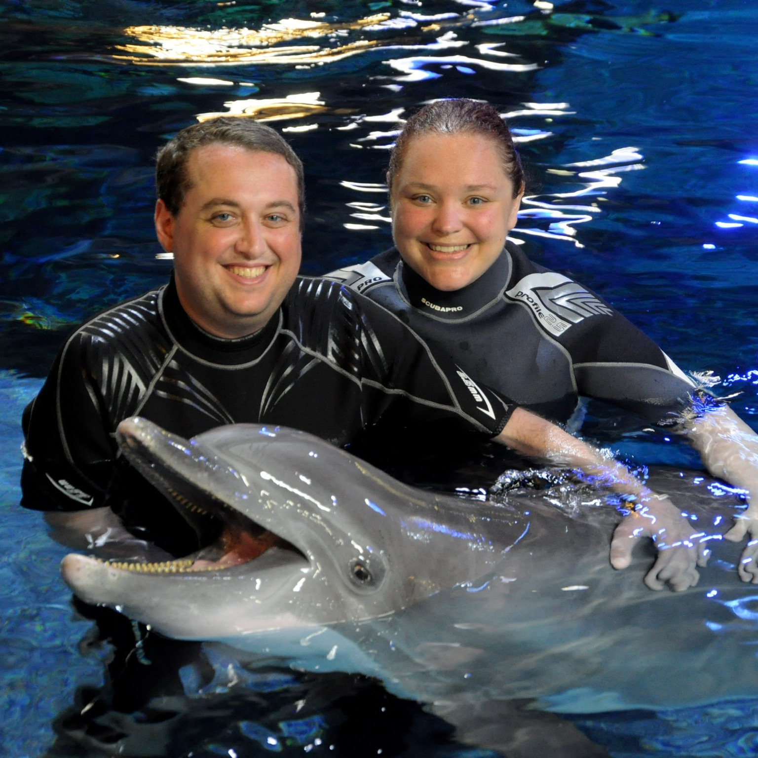 Swimming with dolphins