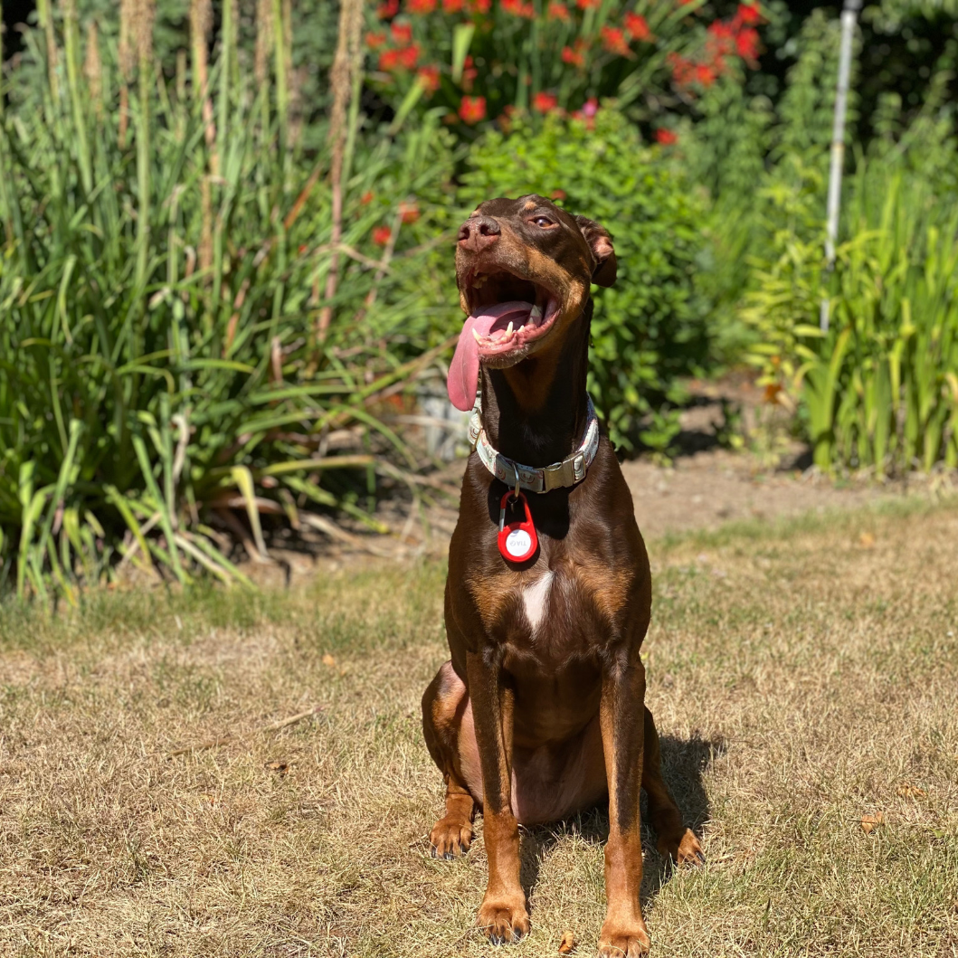 Tia enjoying the summer days