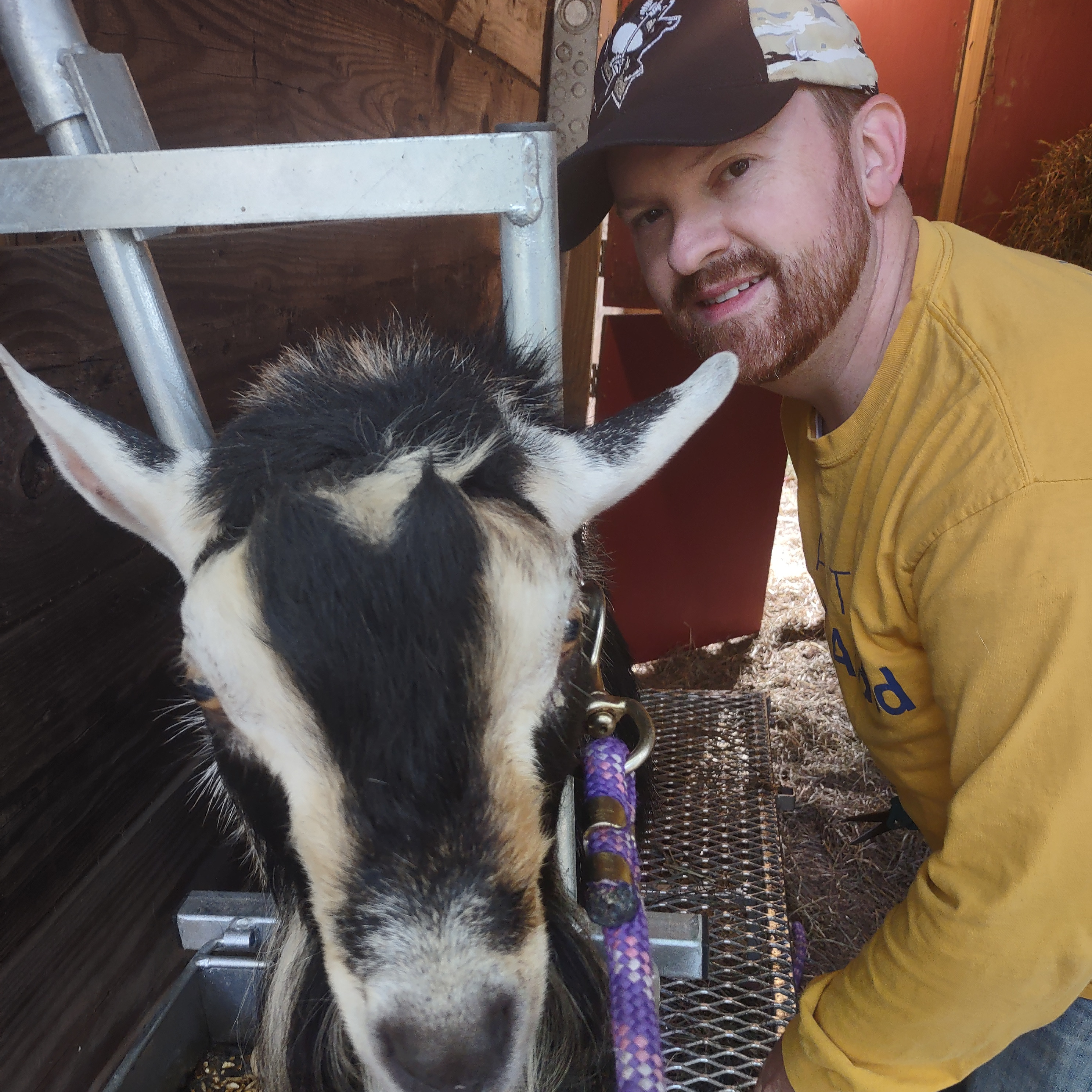 Working on our hobby homestead is fun and rewarding! Meet our goat, Huckleberry.